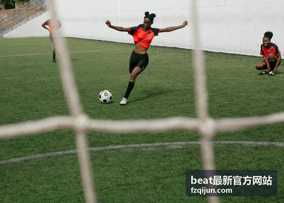 beat 音色素材库旋律和声片段分组封面